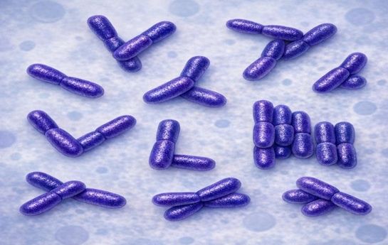 diphtheria-outbreak-australia-aged-care-2026