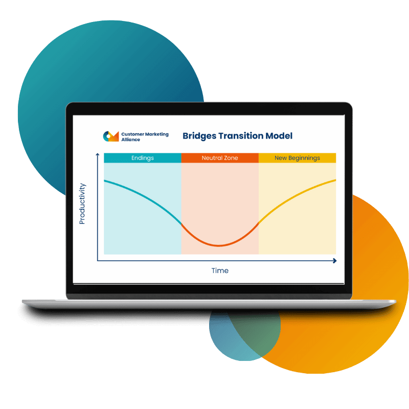 Bridges Transition Model