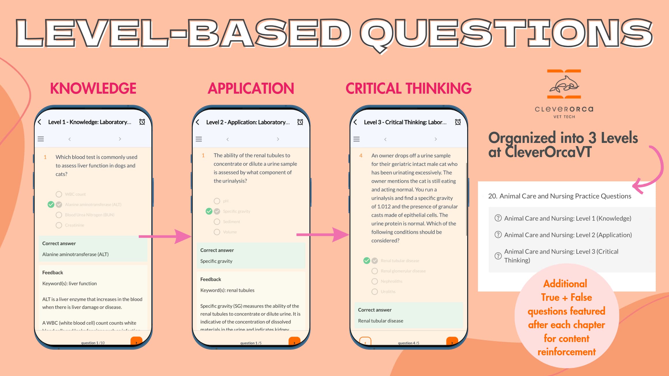 Graphic titled “Level-Based Questions” illustrating how VTNE practice questions are organized into three progressive learning levels at CleverOrcaVT. On the left, Level 1: Knowledge shows a basic recall-style multiple-choice question focused on foundational facts, with the correct answer highlighted and brief feedback explaining the concept. In the center, Level 2: Application displays a question that requires applying knowledge to a clinical scenario, such as interpreting lab values, again showing the selected correct answer and explanatory feedback. On the right, Level 3: Critical Thinking presents a more complex, case-based question that integrates multiple concepts and requires clinical reasoning to select the best answer. Arrows visually connect the three levels to emphasize progression from simple recall to advanced decision-making. A side panel shows how topics (e.g., Animal Care and Nursing) are further organized into Level 1, Level 2, and Level 3 question sets, reinforcing structured learning. A note highlights that additional true/false questions are included after each chapter to support reinforcement and retention.