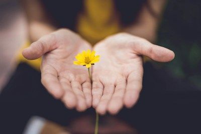open hands with a yellow flower