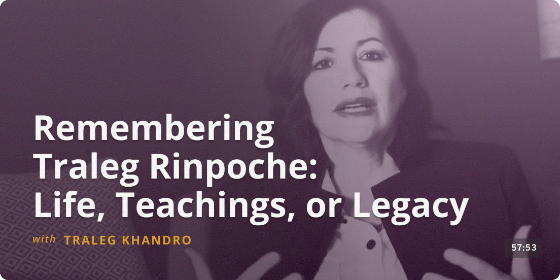 Simplicity within Simplicity - Matthieu Ricard