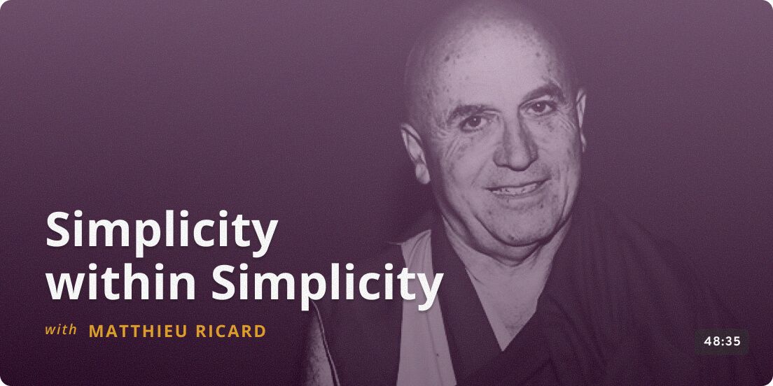 Simplicity within Simplicity - Matthieu Ricard