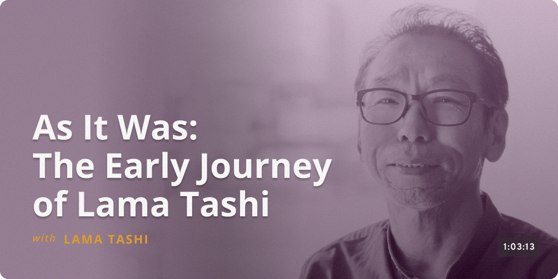 Living Dharma: Bridging Himalayan Wisdom and Western Education - TSUNMA KUNSANG PALMO