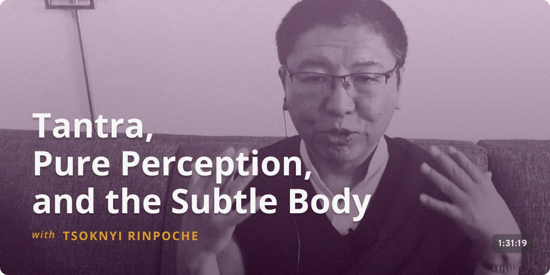 Tantra, Pure Perception, and the Subtle Body - Tsoknyi Rinpoche