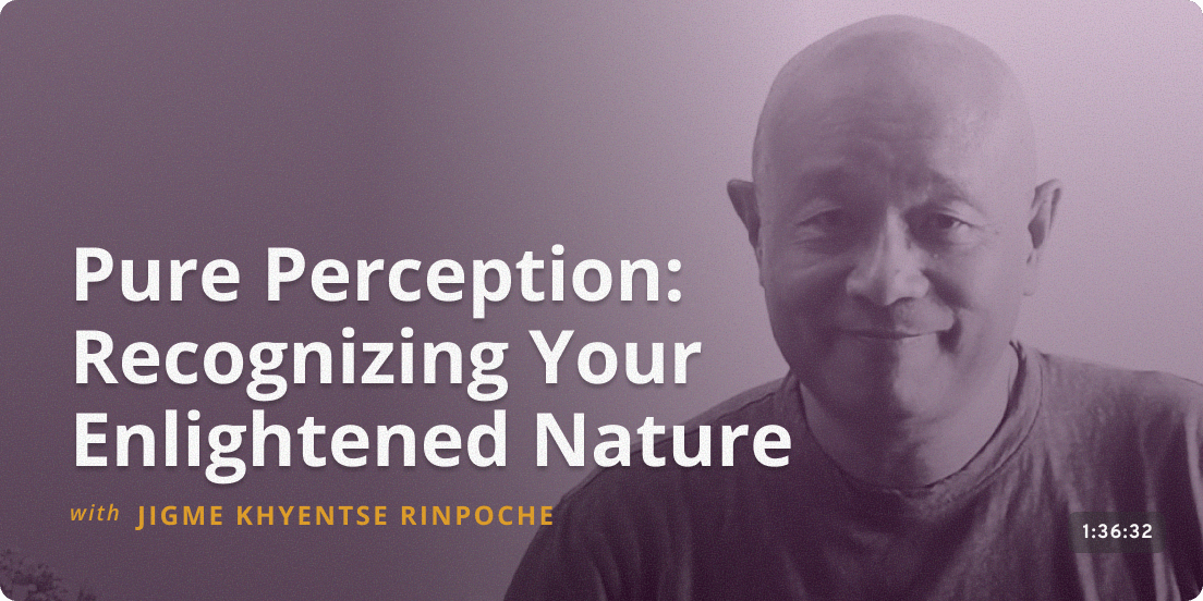 Living Dharma: Bridging Himalayan Wisdom and Western Education - TSUNMA KUNSANG PALMO