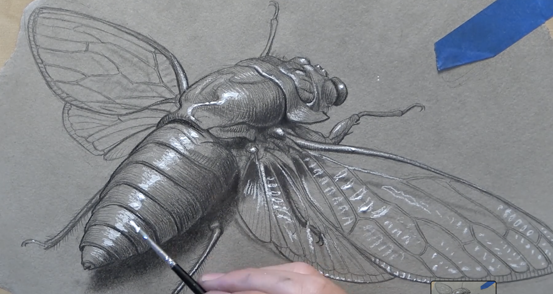 Year II Semester I Drawing From Life and Nature