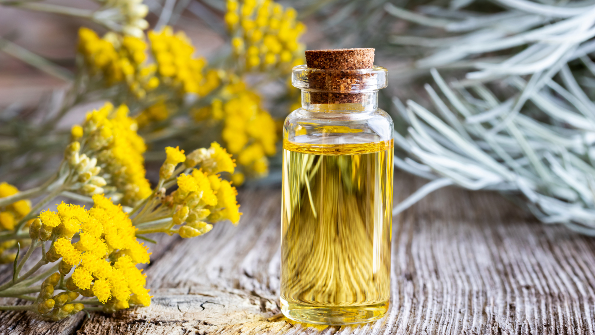 Helichrysum Healing: Choosing Your Ally