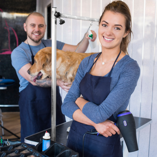 how to become a groomer — NDGAA