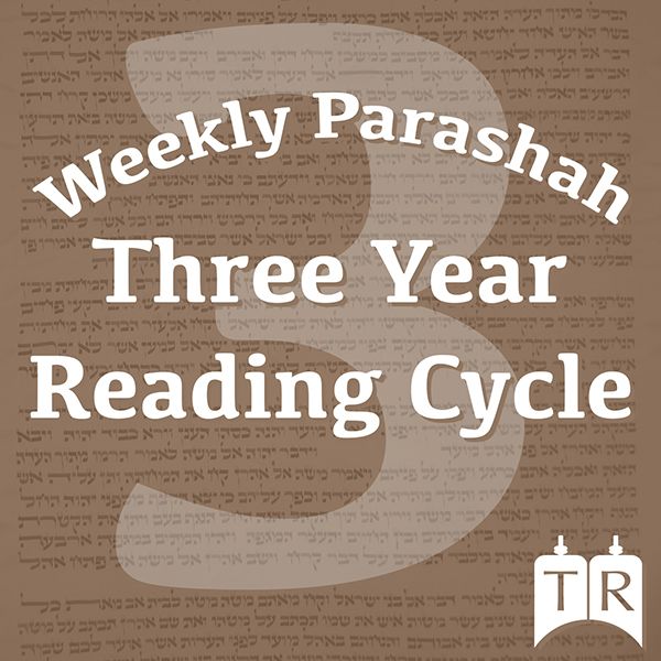 Numbers: Weekly Torah Portion