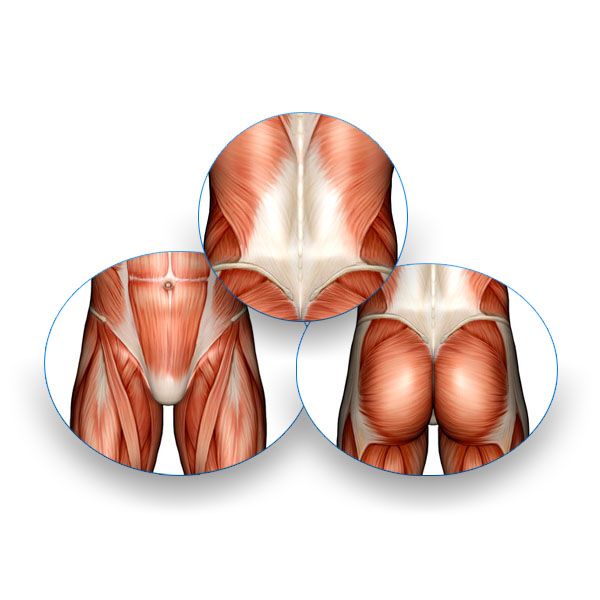 Lumbopelvic Rotation Lumbo-Pelvic Anatomy