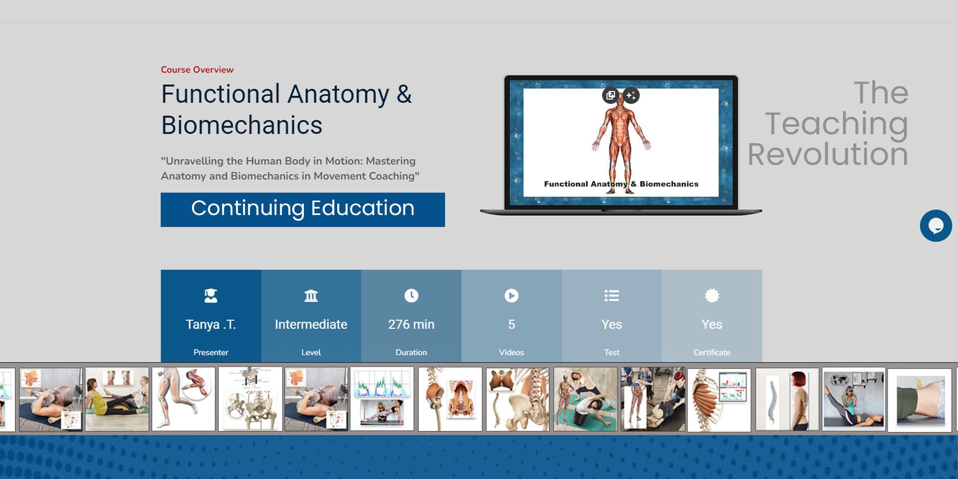 Functional anatomy and biomechanics