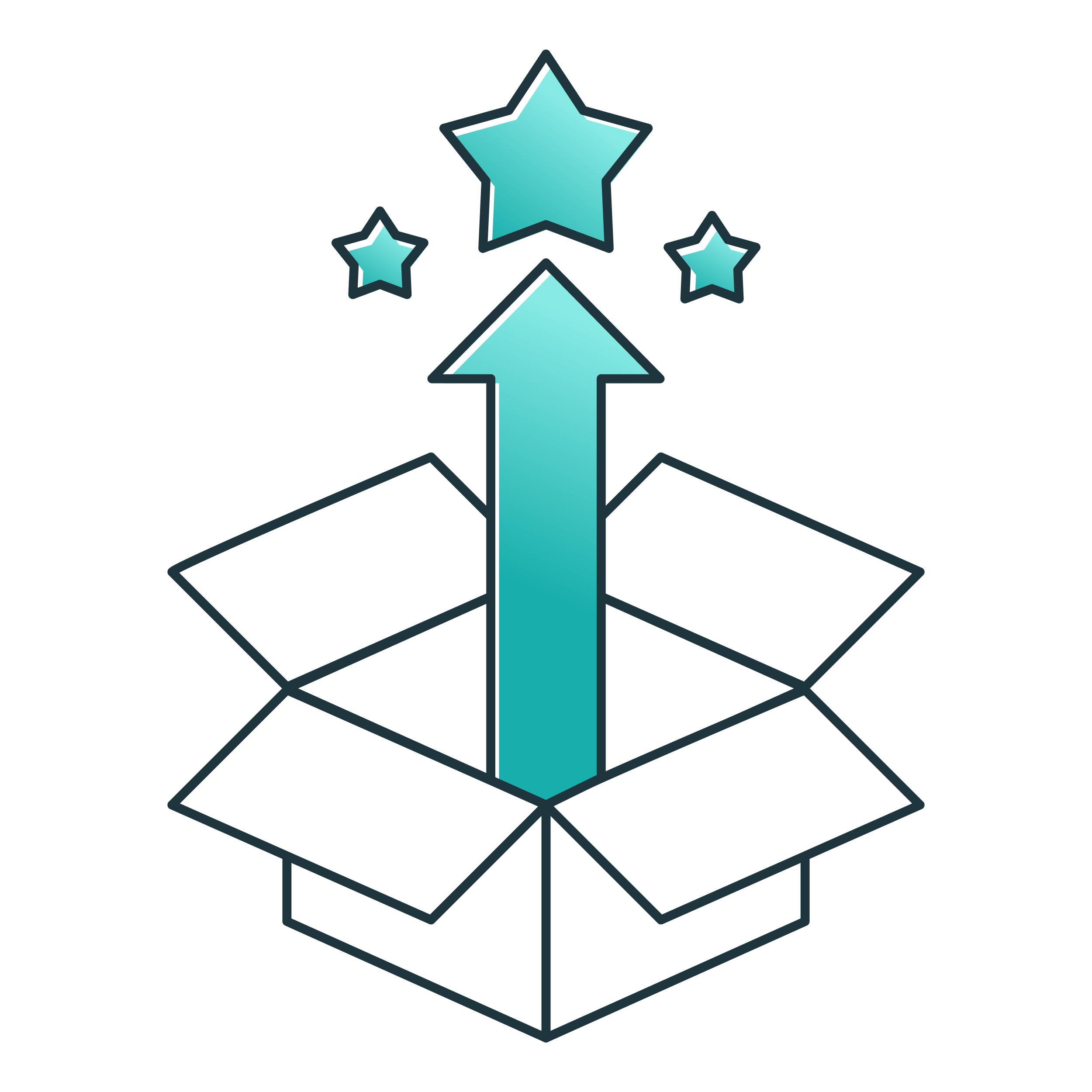 Stars emerging from a delivered package