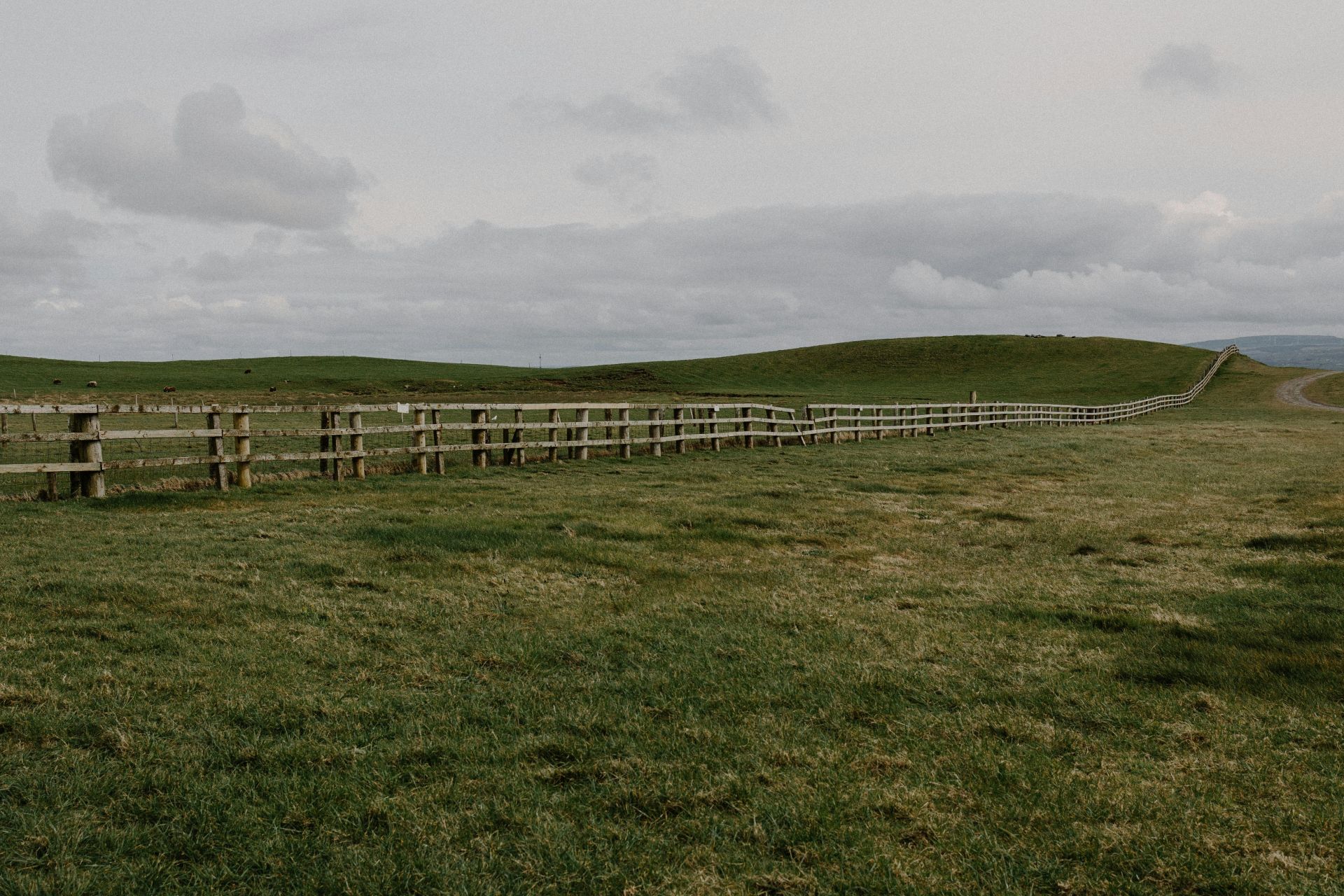 On the fence about home education