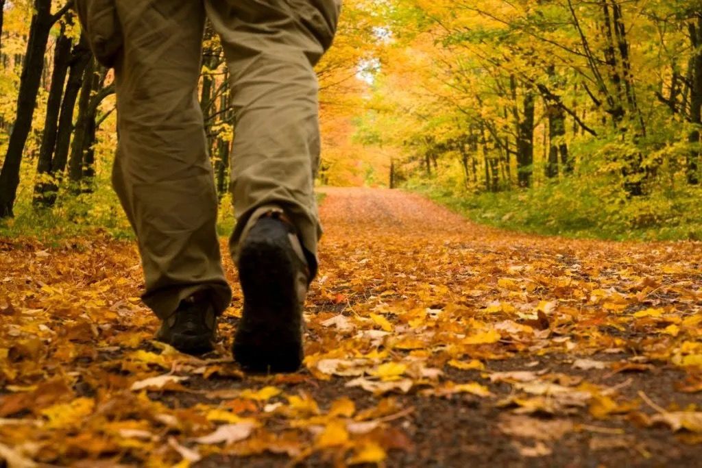 Prendersi cura di sé: passeggiate e sport