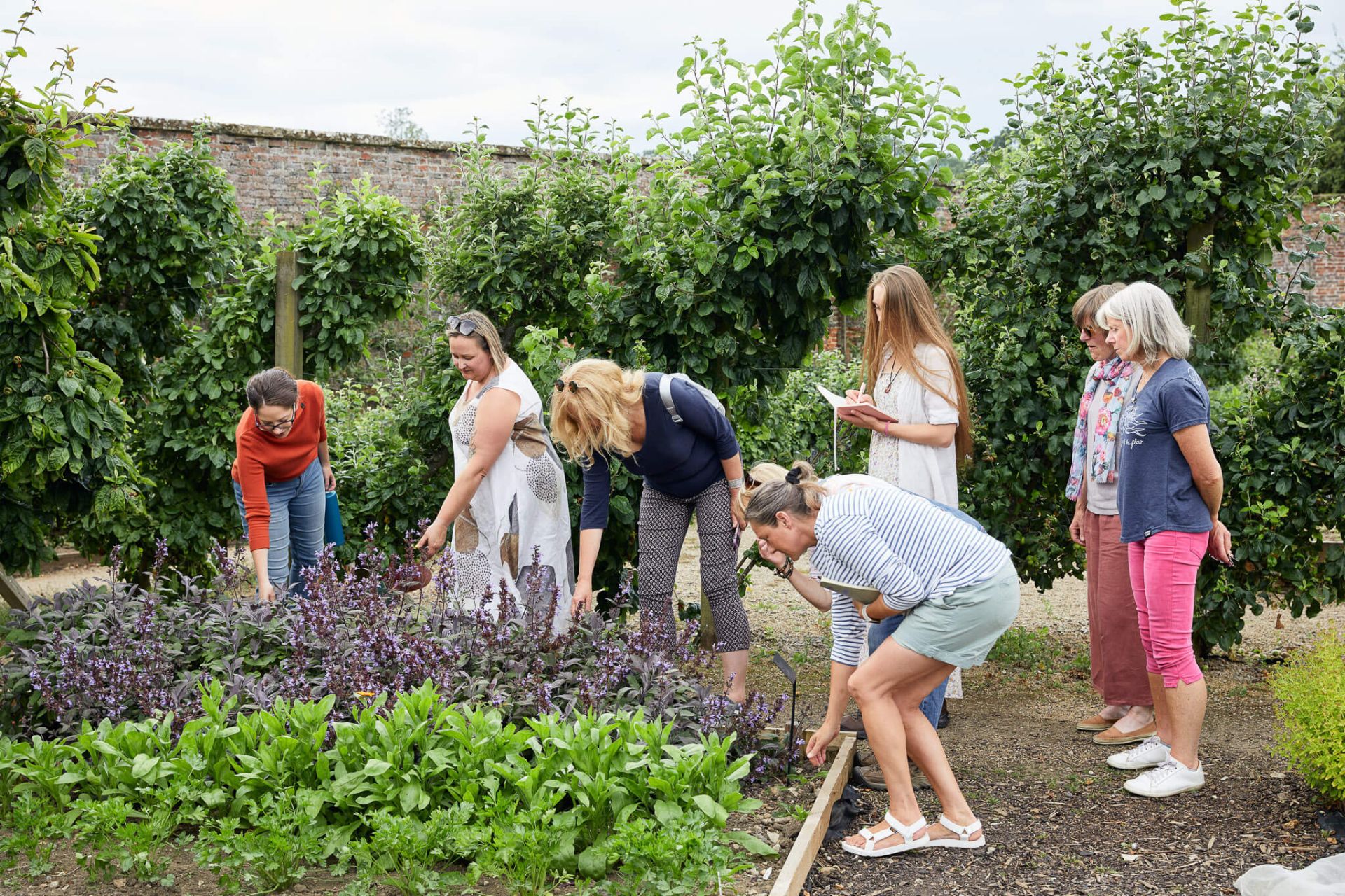 students learn herbalism in garden