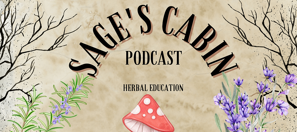 herbal medicine courses uk sage's cabin podcast