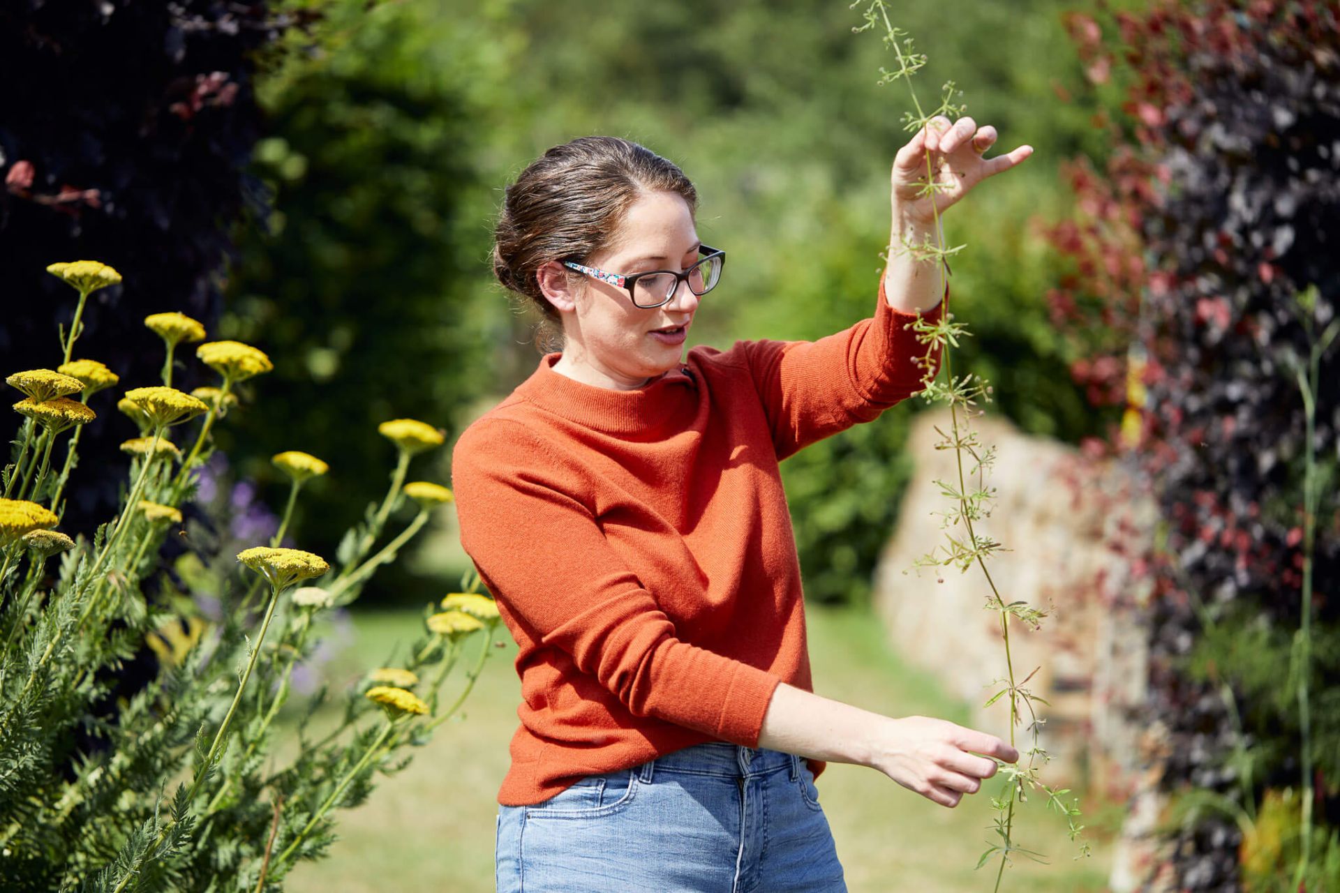 what is herbalism explained by herbalist in garden