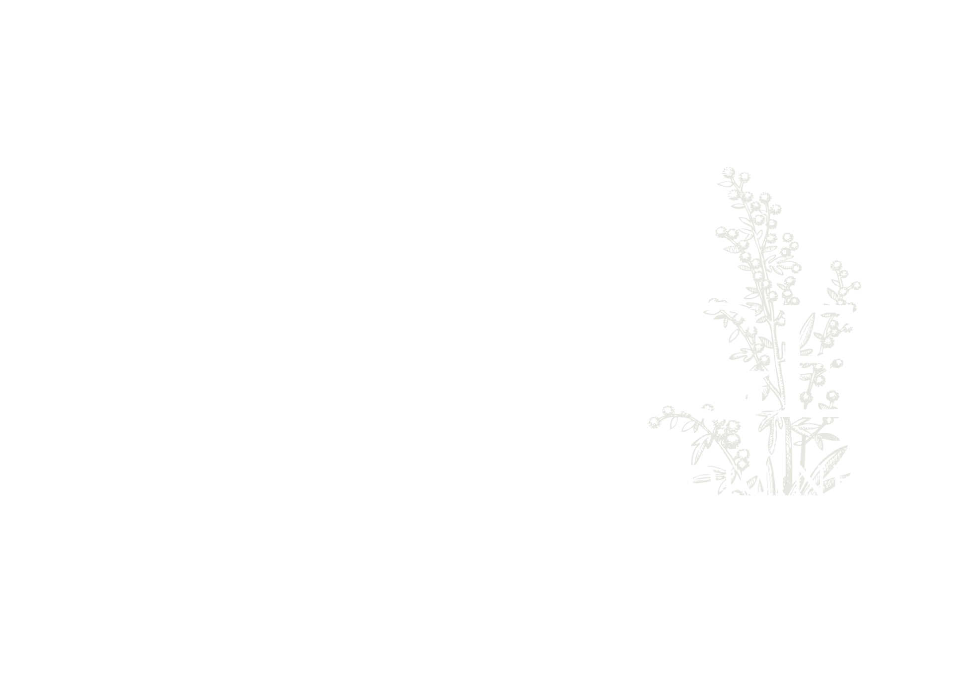Heritage School of Herbal Medicine logo