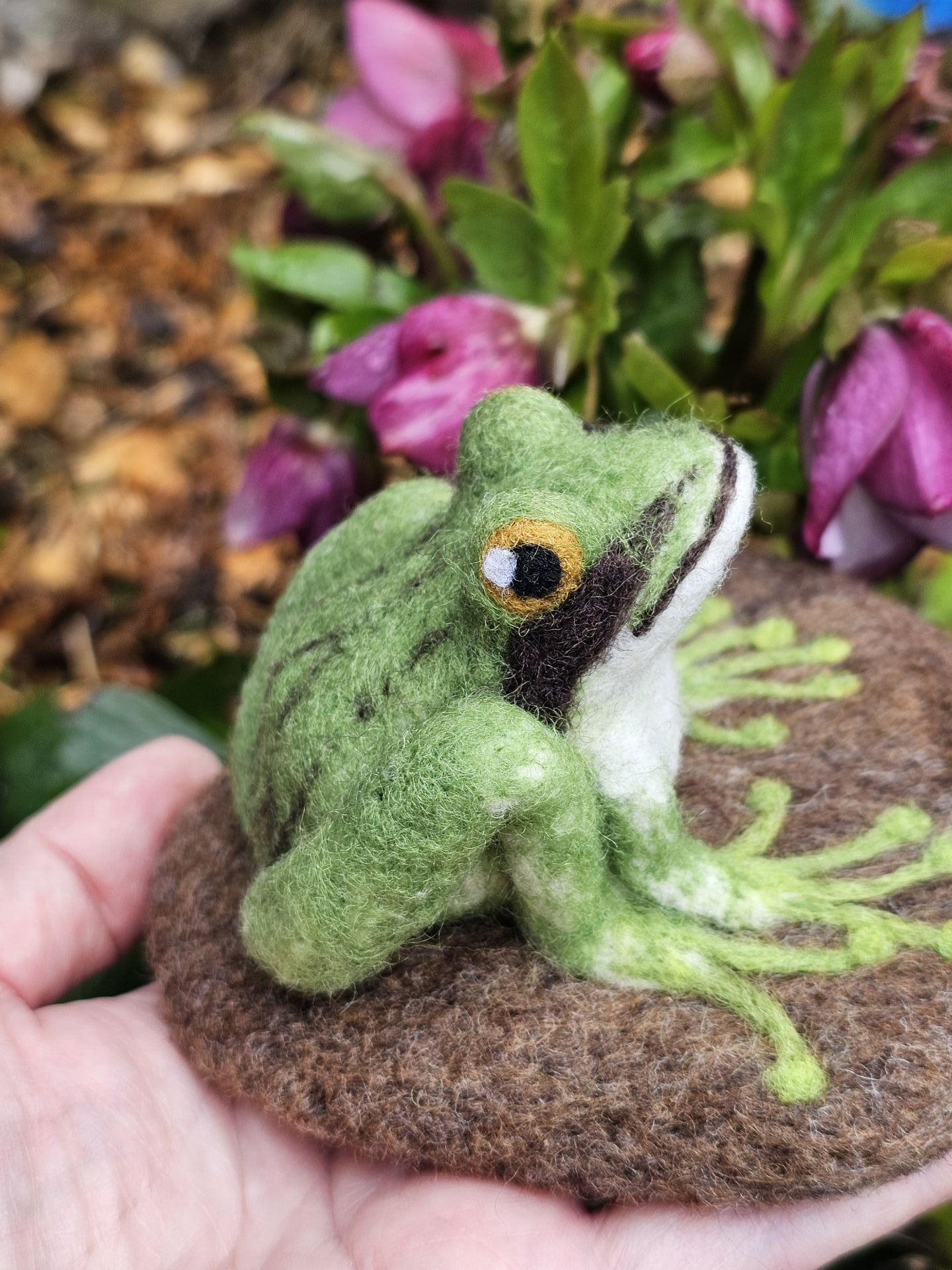 Friendly Frog