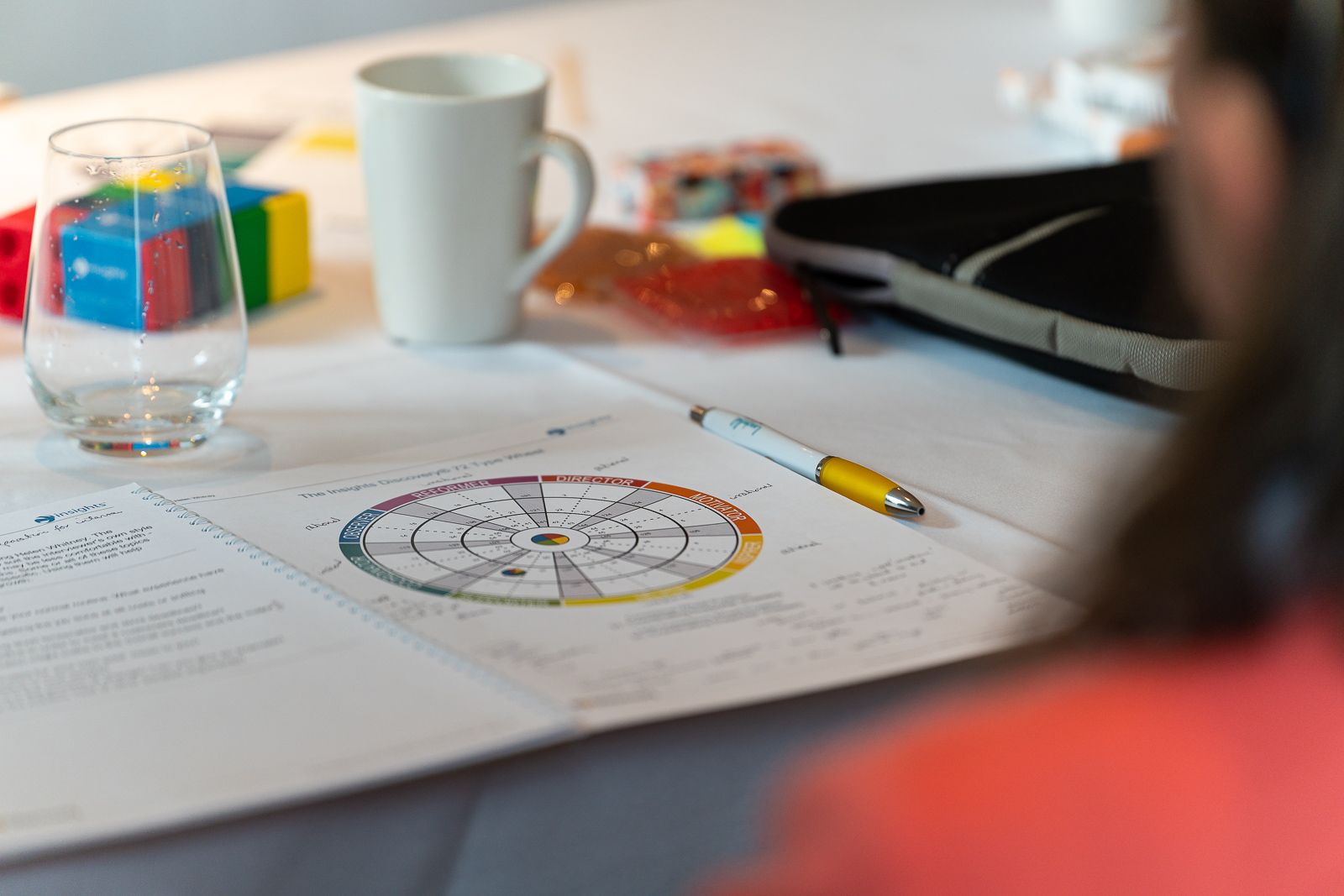 a photo of insights wheel