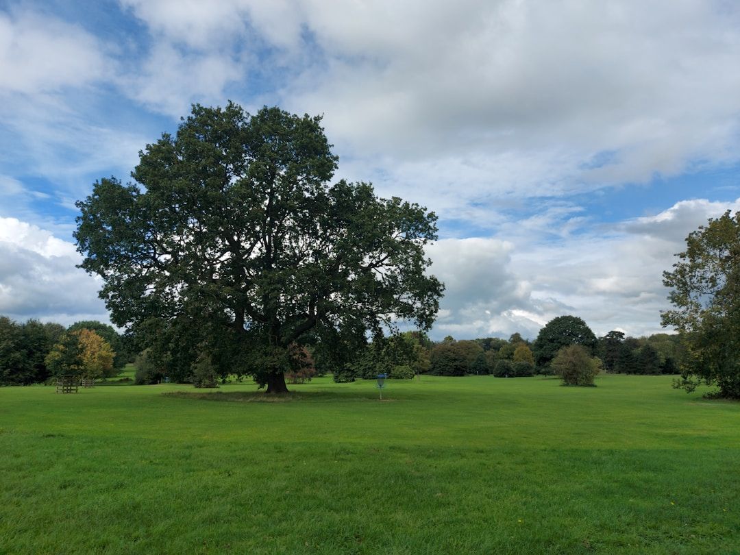 The power of Self-Love and aging gracefully like the mighty oak tree