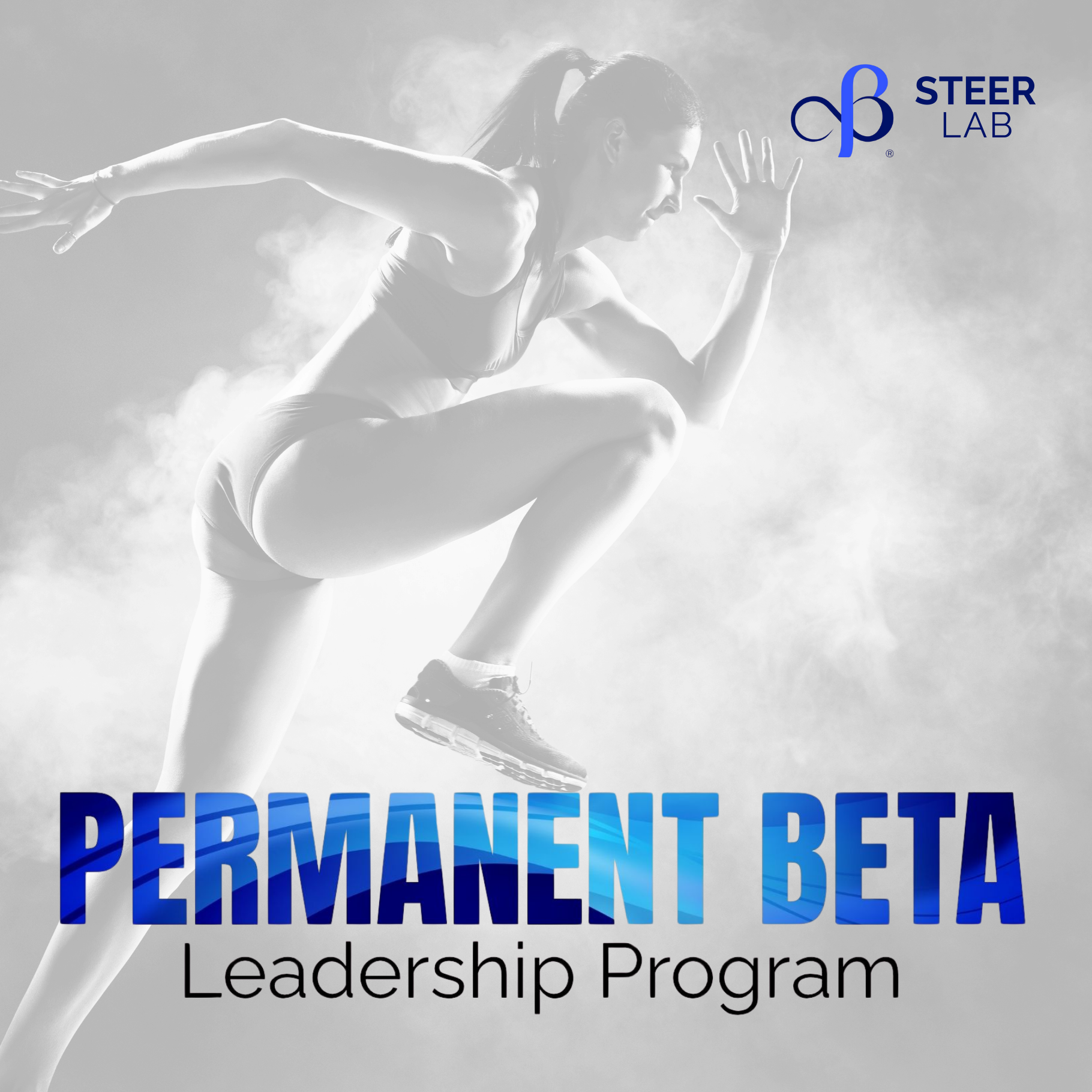 Permanent Beta Program