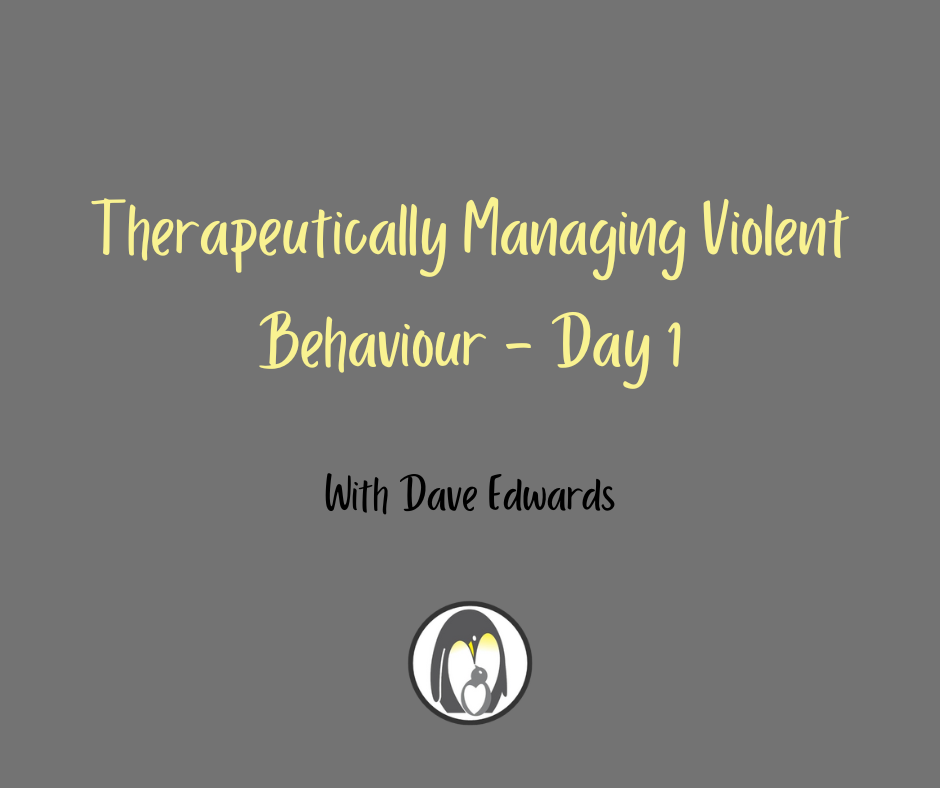 Questionable Behavior Violence Therapeutically Managing Violent Behaviour