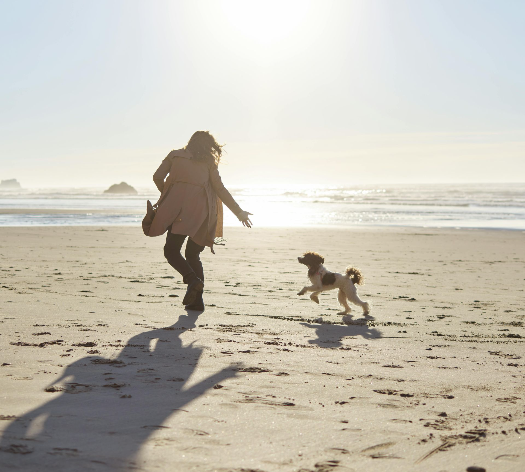 A woman runs joyfully along a sandy beach with a small dog leaping beside her. The sun is low in the sky, casting long shadows and a golden glow over the ocean waves in the background.