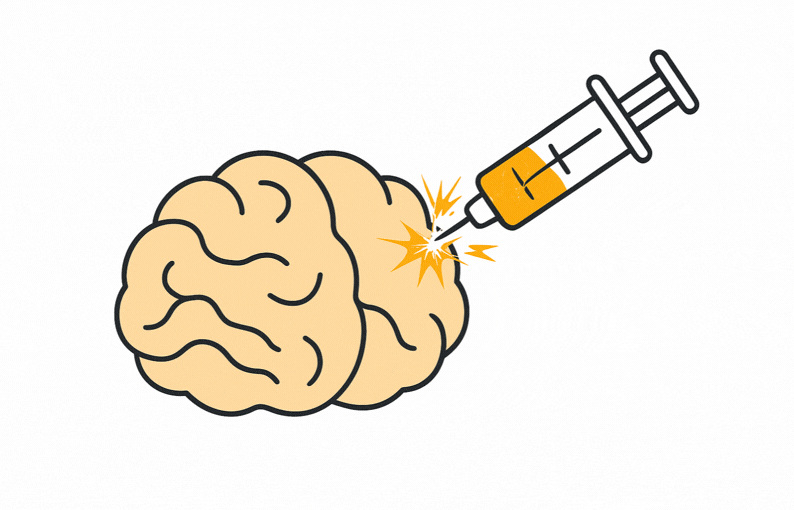 Animated GIF of a brain being infused with new knowledge, symbolizing fast, brain-friendly language learning and accelerated memory building.