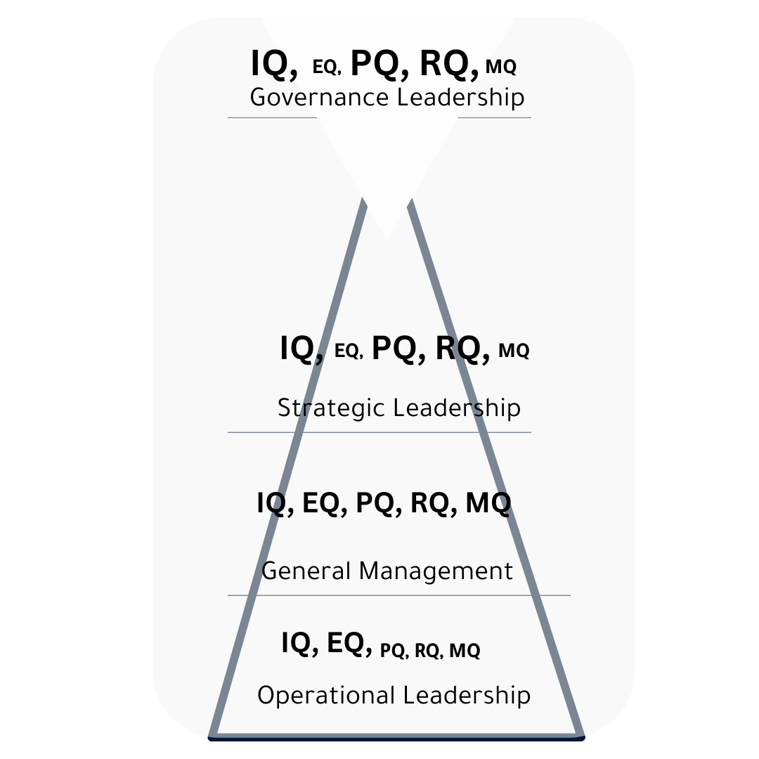 Pyramid of 5Qs usage across organisations