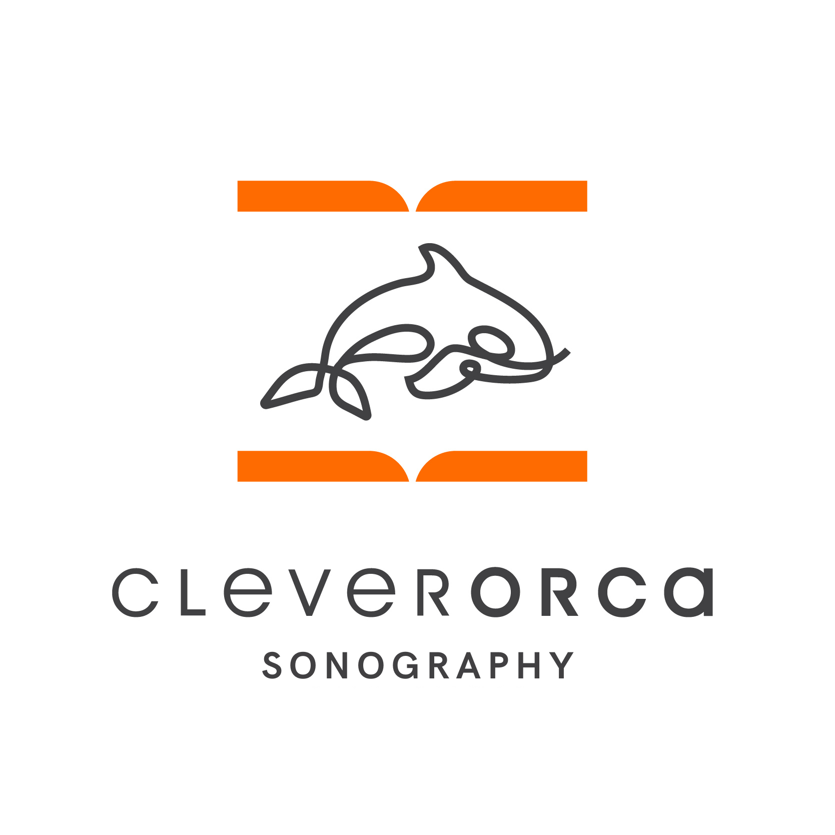 CleverOrcaSono Logo