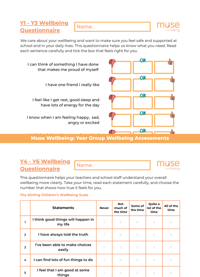 Wellbeing Assessments 2