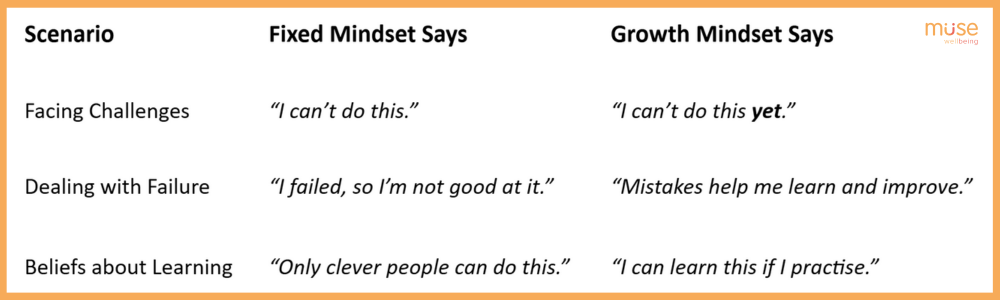 Growth Mindsets Vs Fixed Mindsets