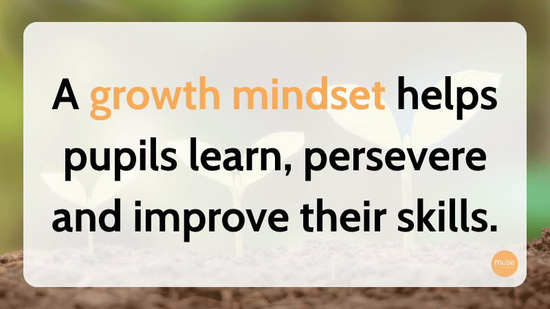 Growth Mindset means healping pupils persevere