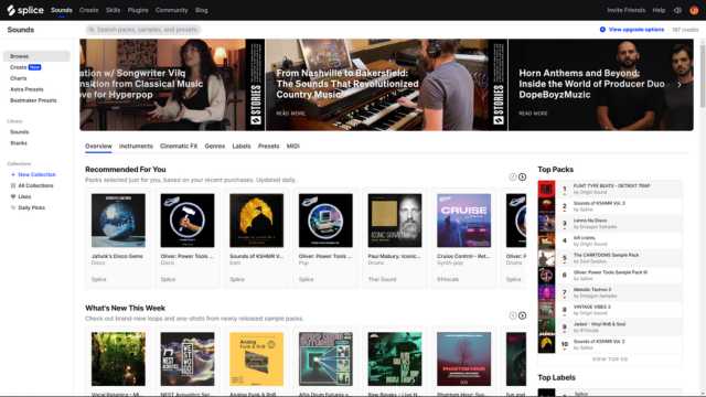 Een alternatief voor Loopcloud is Splice