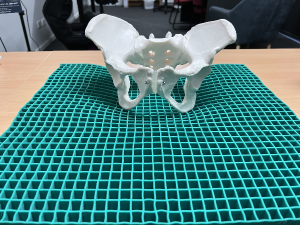 pelvic bone on a pressure care cushion