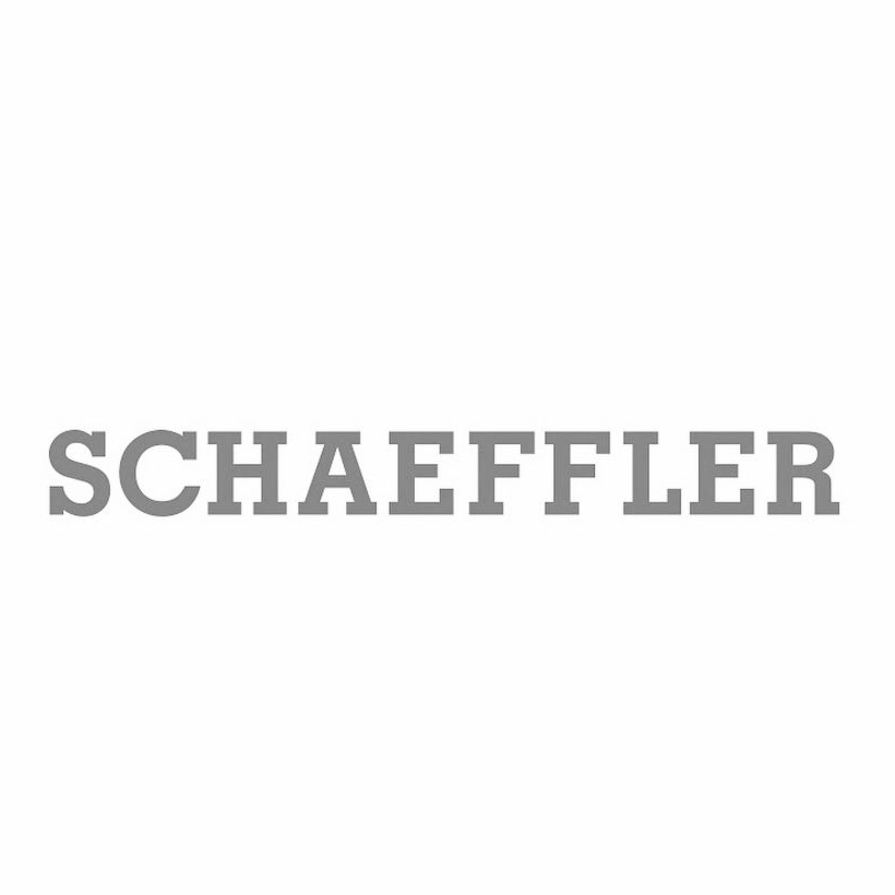 Schaeffler logo, highlighting the company as a global leader in automotive and industrial solutions.