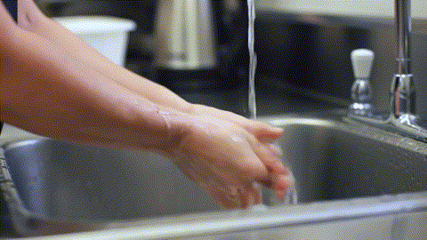Employee washing hands with soap at kitchen sink