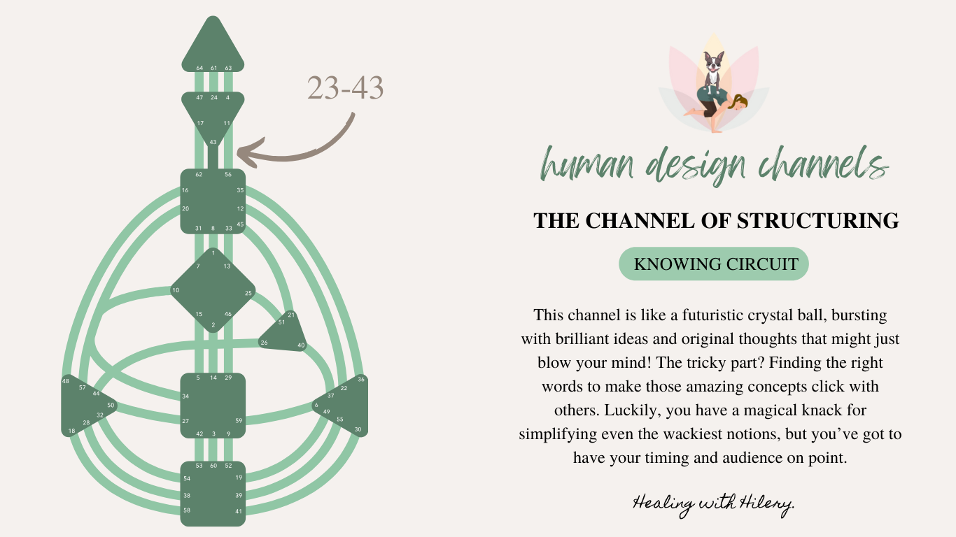 channel 23-43 in human design is known as the channel of structuring and is part of the knowing circuit that connects the ajna center and throat center