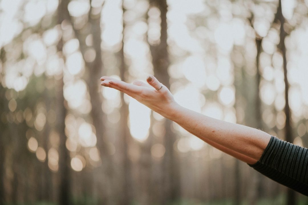 woman's arm reaching up to the sky with sunlight shining through the trees in the blurred background
