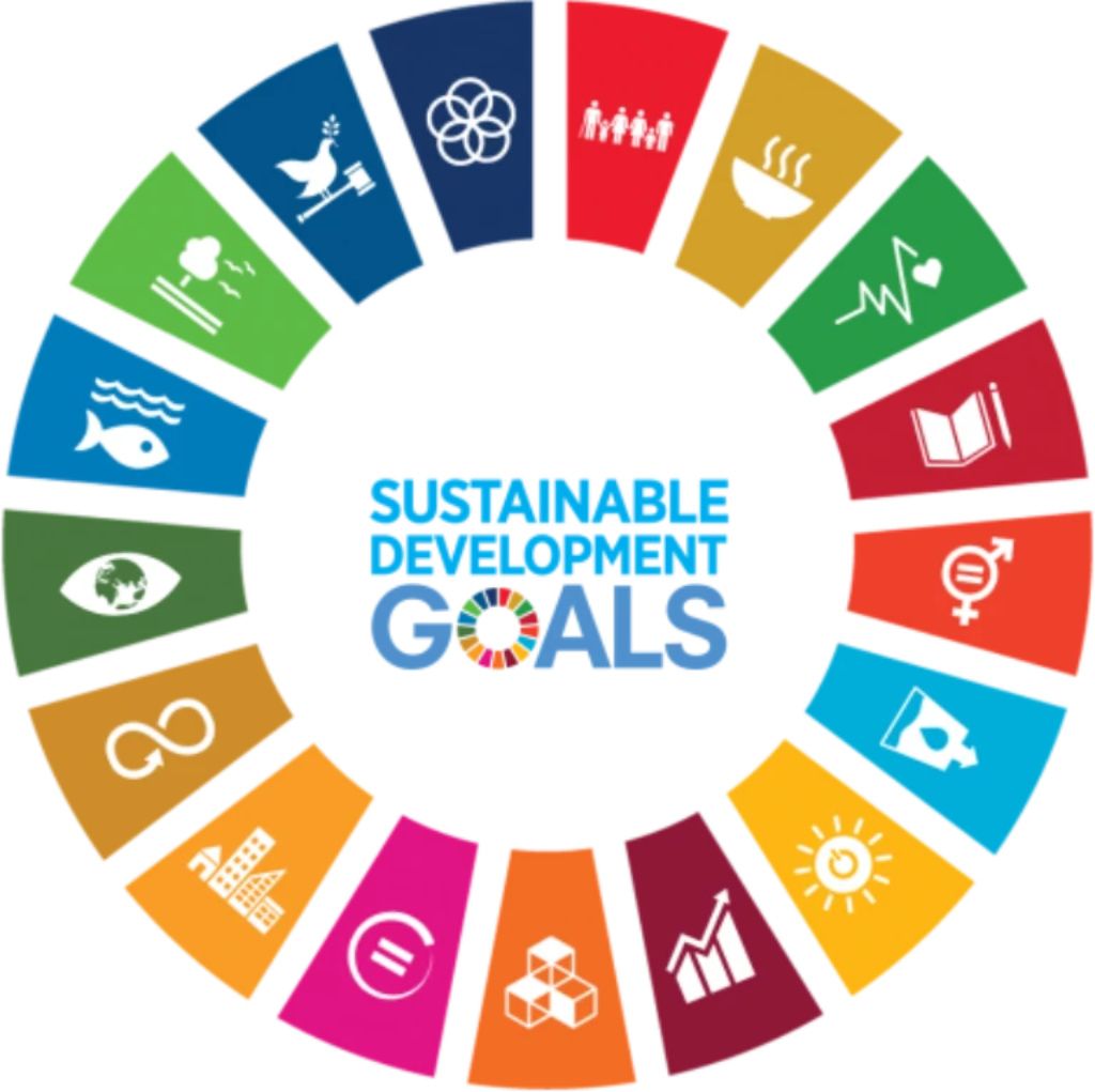UN Sustainable Development Goals Logo