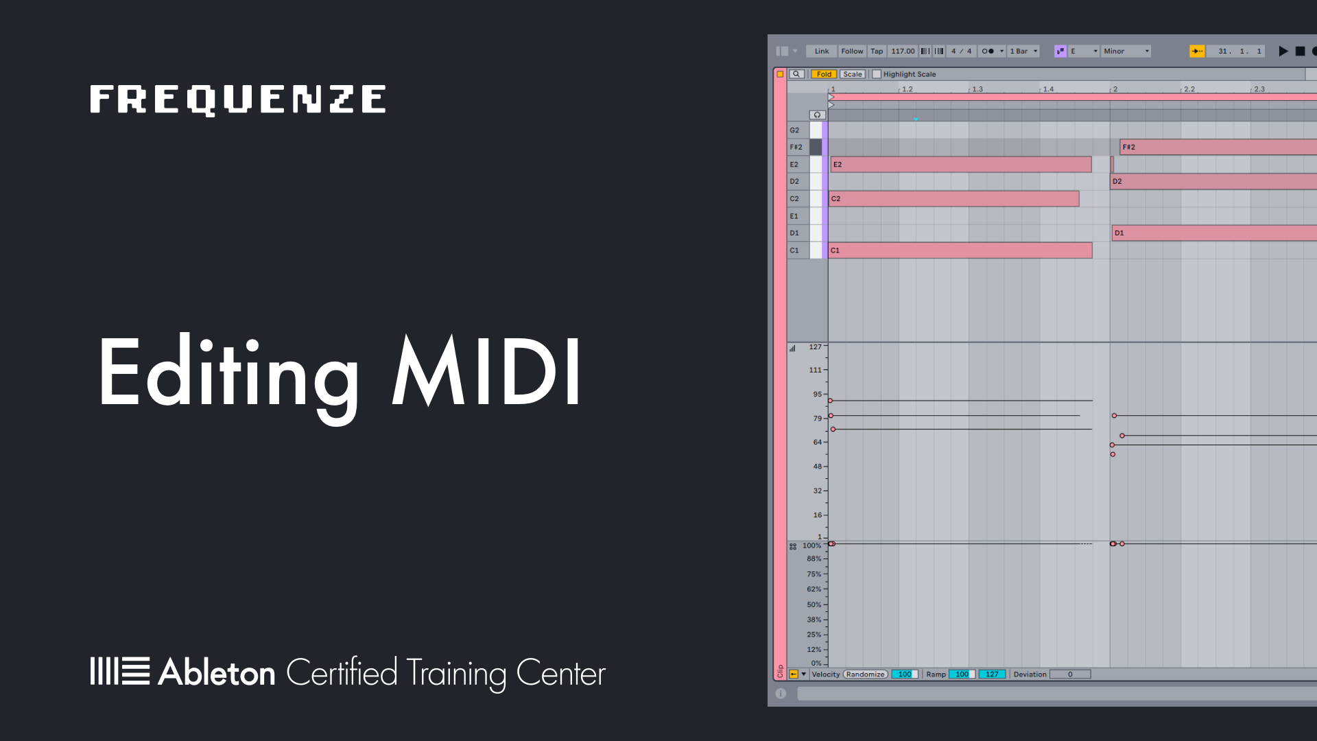 Ableton Live 12 - MIDI Editor