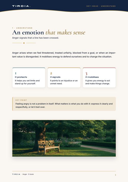Why anger makes sense: it protects, signals and mobilises