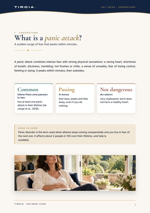 What a panic attack is, in three key ideas