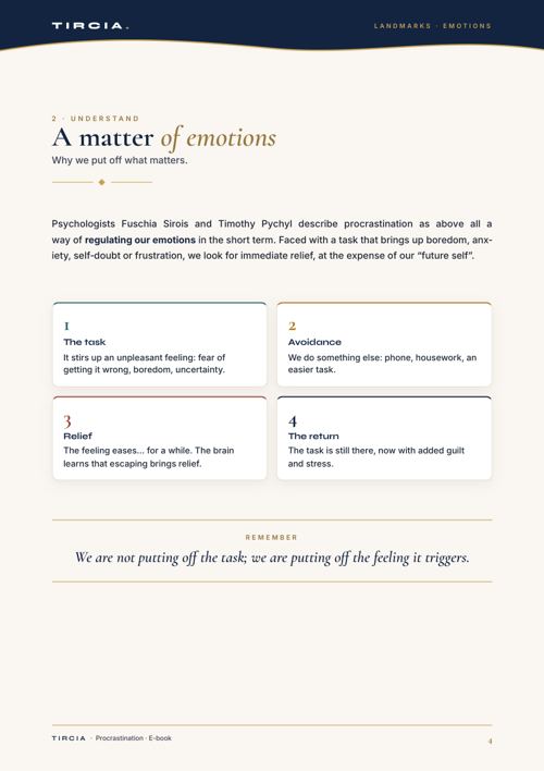 A matter of emotions: the avoidance cycle