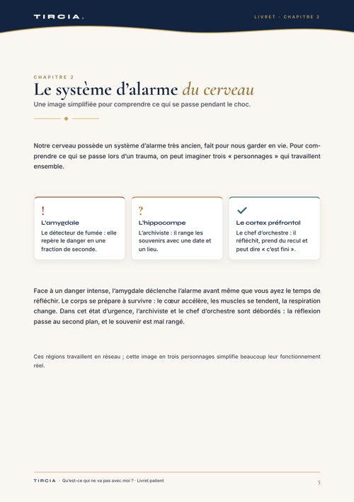 Le système d’alarme du cerveau, en trois personnages