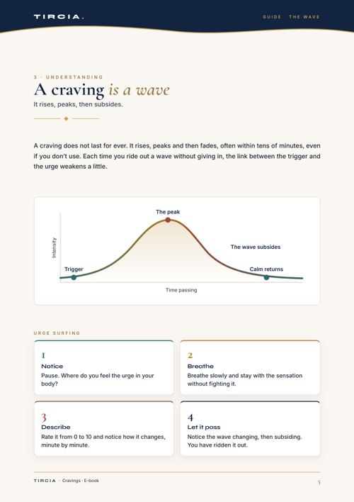The craving wave and the four steps of urge surfing