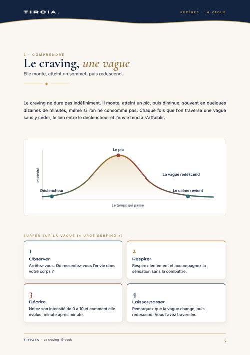 Le craving, une vague qui monte puis redescend
