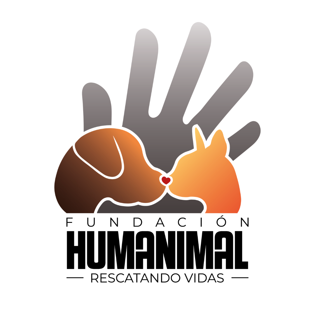 Imagen 18