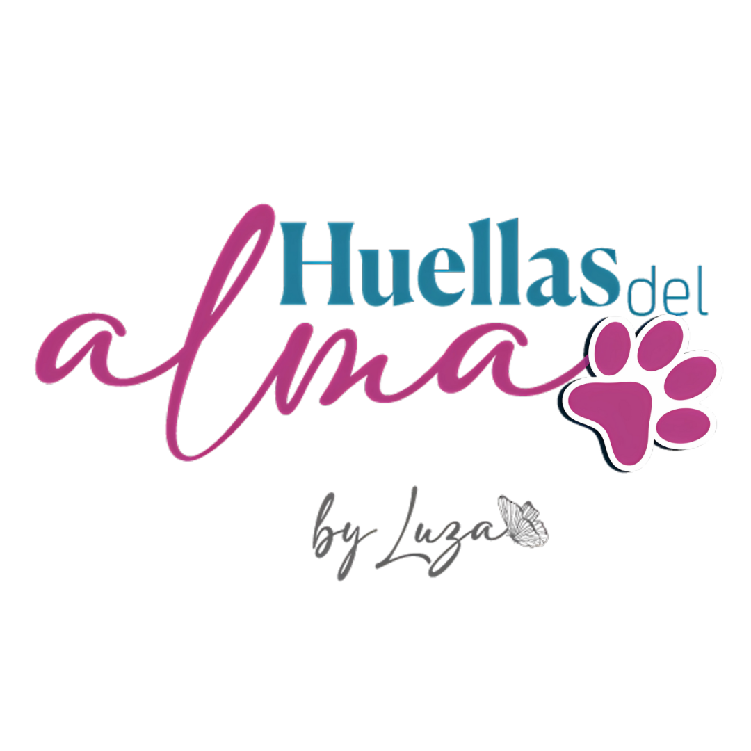 Imagen 19